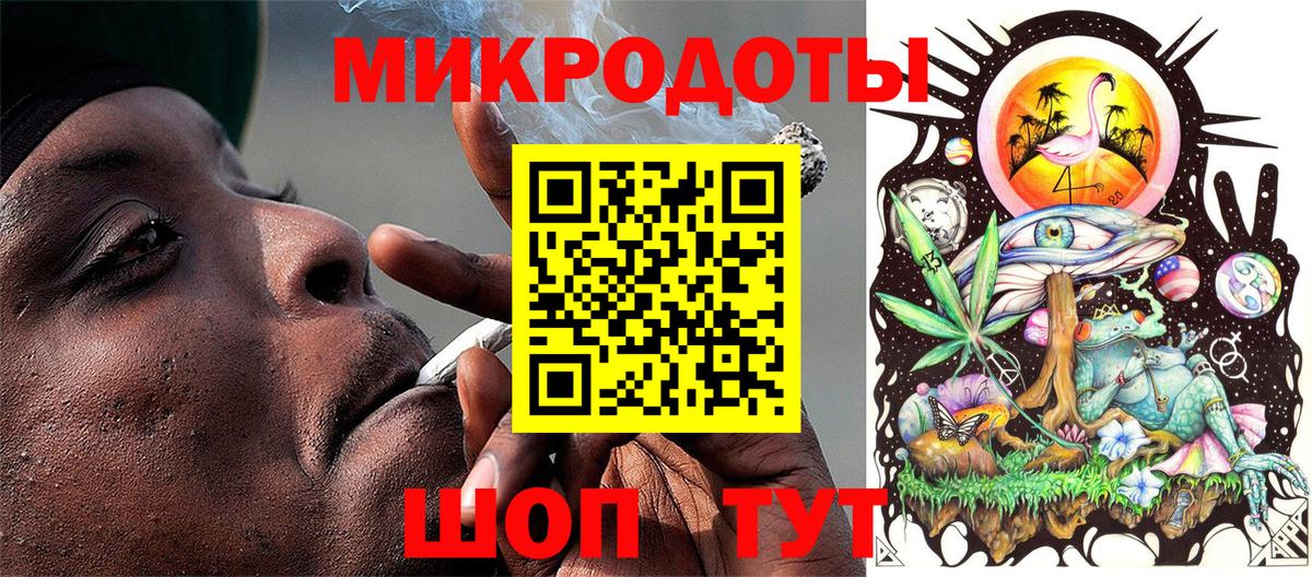 закладка  Ачхой-Мартан  Галлюциногенные грибы Cubensis 