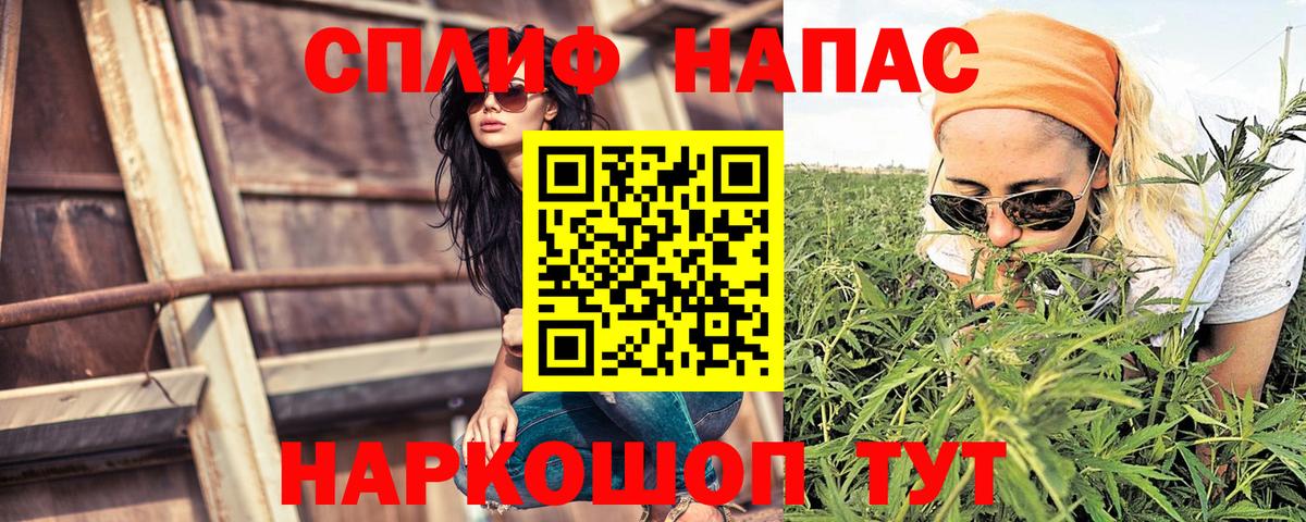 Конопля сатива Ачхой-Мартан